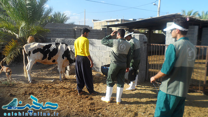 گزارش تصویری اردوی جهادی